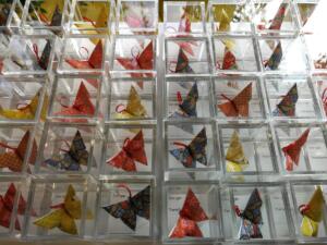 Butterfly-colours