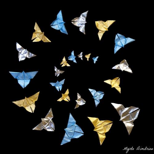 butterflies in spiral
