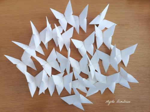 white butterflies