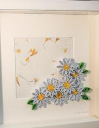 daisies