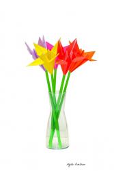 flower bouquet