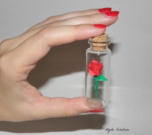 miniature rose