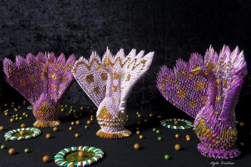 peacocks ensemble