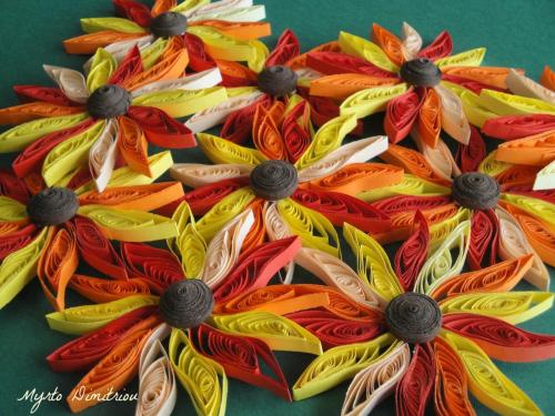 sunflowers