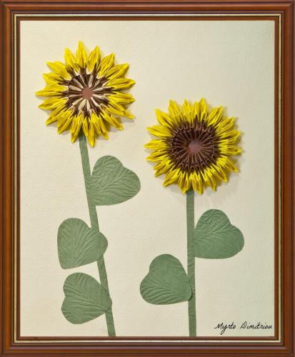 sunflowers