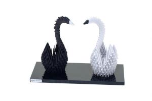 swans